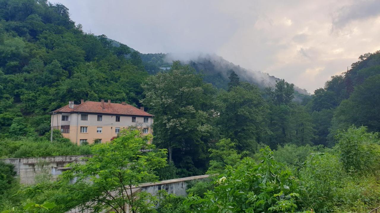 Ferienwohnung Casa Arion Băile Herculane Exterior foto
