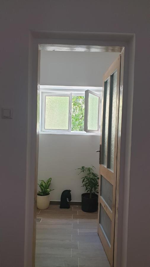 Ferienwohnung Casa Arion Băile Herculane Exterior foto