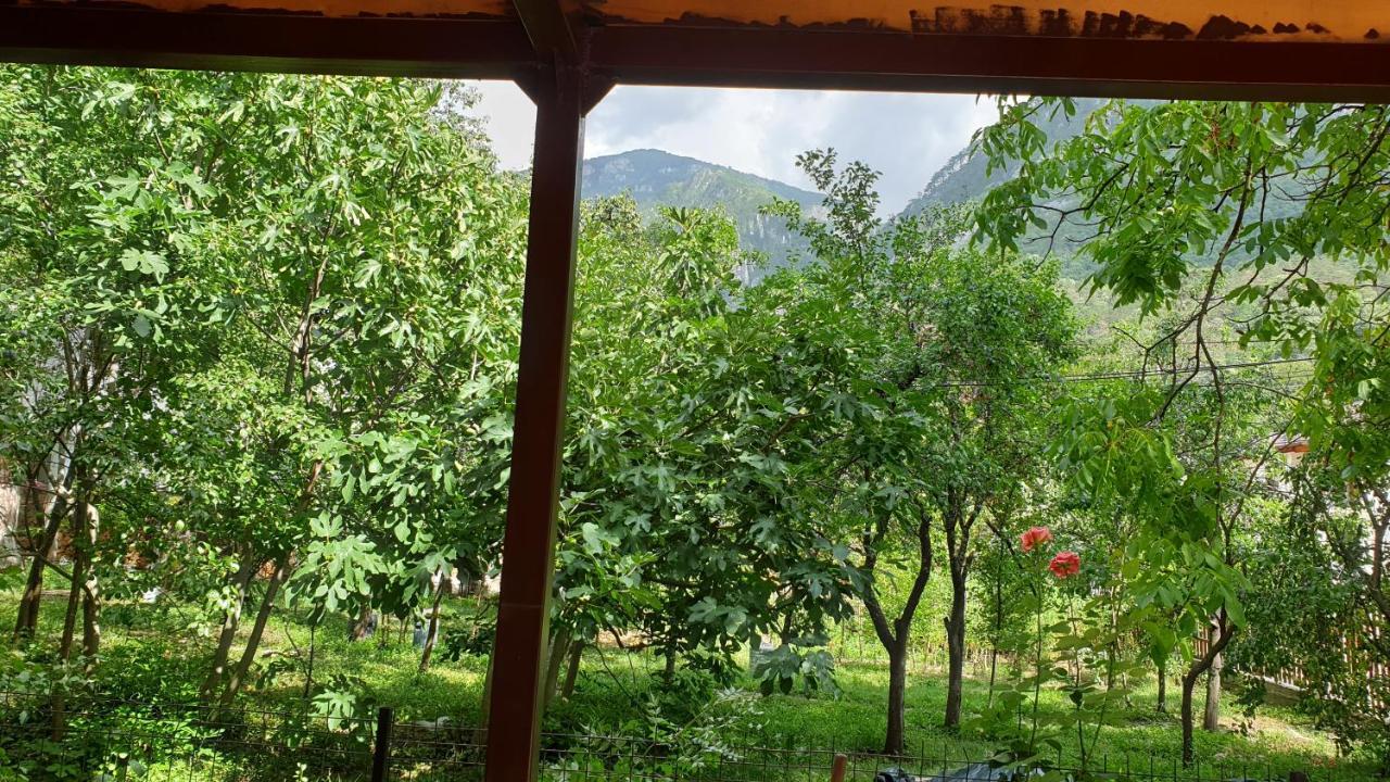 Ferienwohnung Casa Arion Băile Herculane Exterior foto