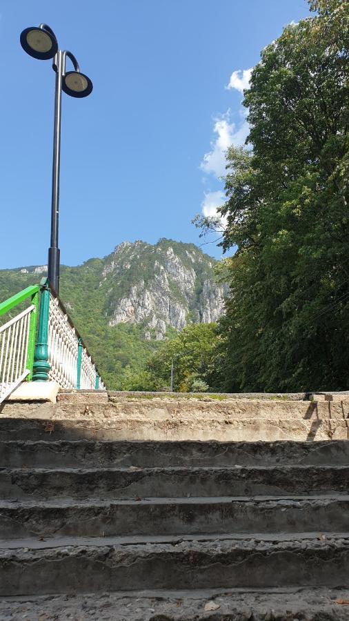 Ferienwohnung Casa Arion Băile Herculane Exterior foto